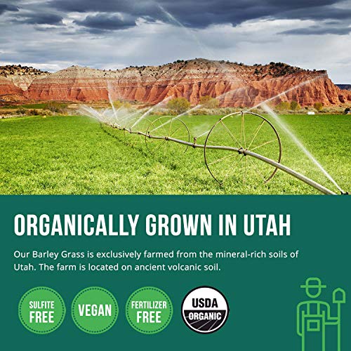 Triquetra Health Organic Wheatgrass Juice Powder Plus Organic Barley Grass Juice Powder - USA Grown in Volcanic Utah Soil, Both Raw Form & 5.3 oz