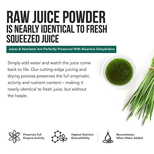 Triquetra Health Organic Spirulina Powder 8 oz. Plus Organic Barley Grass Juice Powder 5.3 oz.