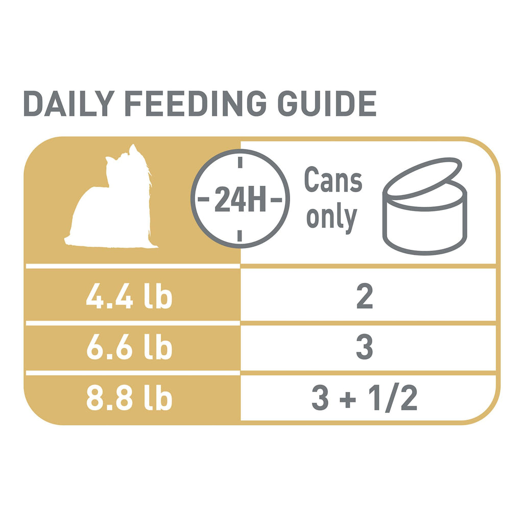 Royal Canin Yorkshire Terrier Adult Wet Dog Food, 3 oz, 6-Pack