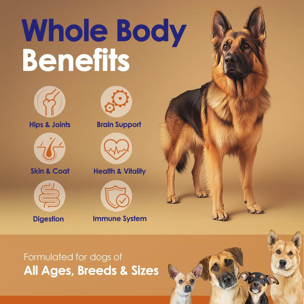 Grass-Fed Beef Bone Broth Powder for Dogs - Rich in Protein & Collagen, Enhanced with Mushroom Blend for Strong Bones, Joint Flexibility, Digestive Comfort & Immune Support - Made in USA - 4.2oz