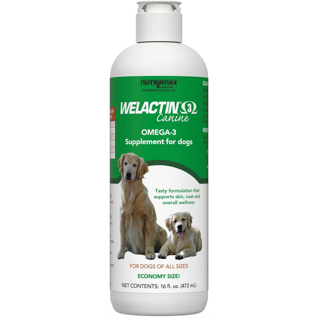 Nutramax Welactin Omega-3 Fish Oil Dog Supplement, Skin & Coat, Liquid 16oz