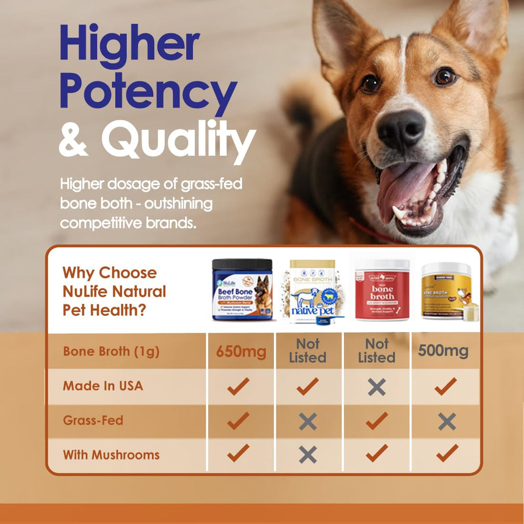 Grass-Fed Beef Bone Broth Powder for Dogs - Rich in Protein & Collagen, Enhanced with Mushroom Blend for Strong Bones, Joint Flexibility, Digestive Comfort & Immune Support - Made in USA - 4.2oz