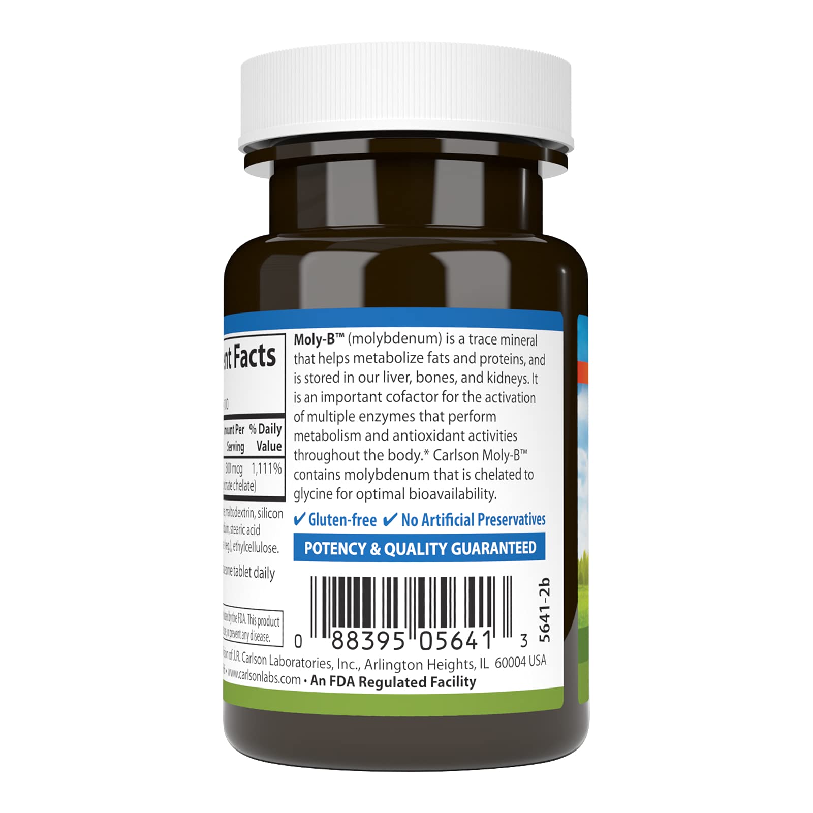 Carlson Moly-B, Metabolism Support, 100 Vegetarian Tablets
