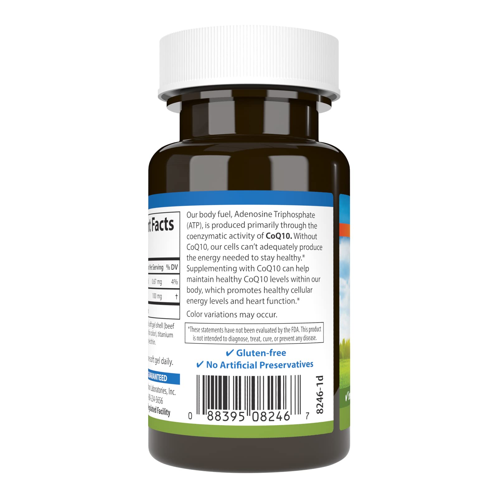 Carlson Co-Q10, Co-Enzyme Q10, 100 mg, 60 Softgels