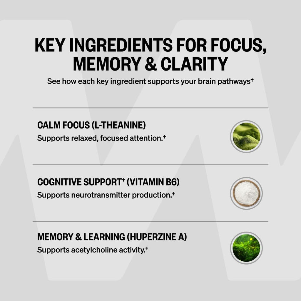ONNIT Alpha Brain Nootropic Brain Supplement for Focus, Memory, Mental Clarity, Cognitive Support with L-Theanine and Vitamin B6, 60 Count Capsules