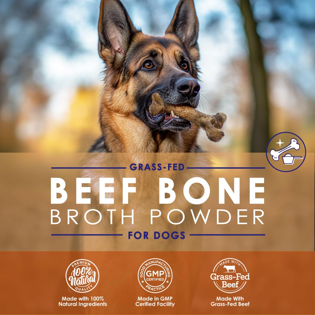 Grass-Fed Beef Bone Broth Powder for Dogs - Rich in Protein & Collagen, Enhanced with Mushroom Blend for Strong Bones, Joint Flexibility, Digestive Comfort & Immune Support - Made in USA - 4.2oz