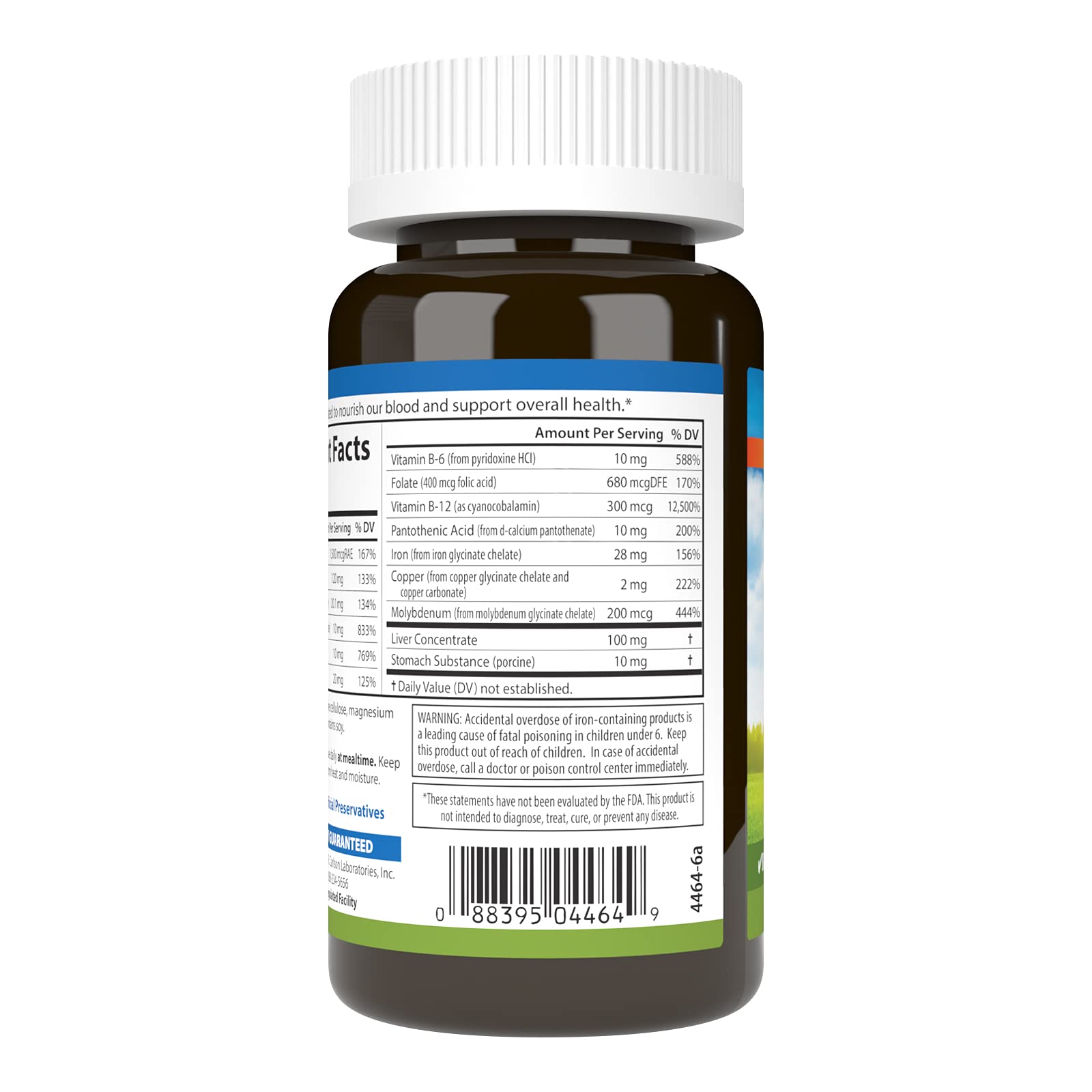 Carlson Blood Nutrients, 28 mg, Iron, Blood Development, 90 Capsules