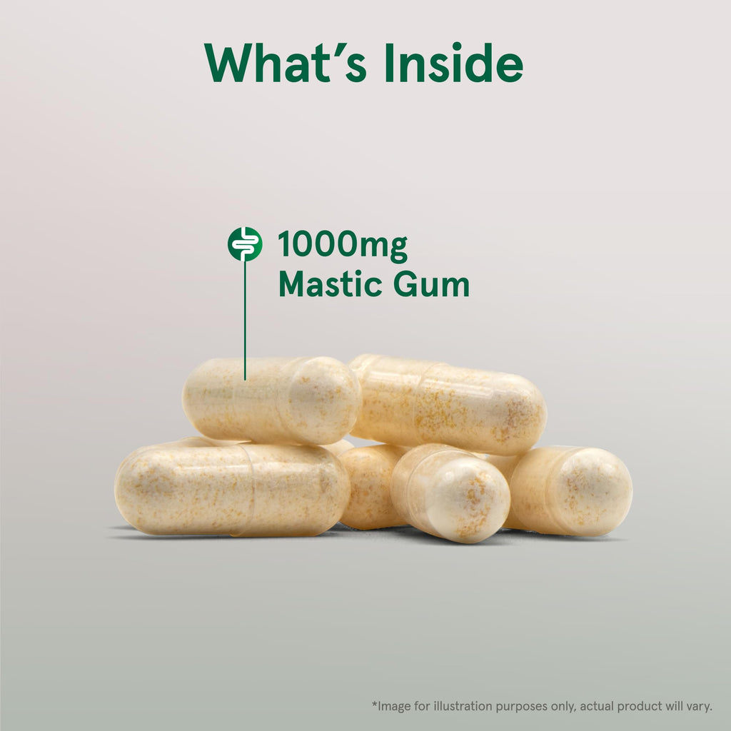Jarrow Formulas Mastic Gum 1000 mg - 60 Veggie Caps - Mastic Gum Capsules Supporting Stomach and Duodenal Health - 30 Servings