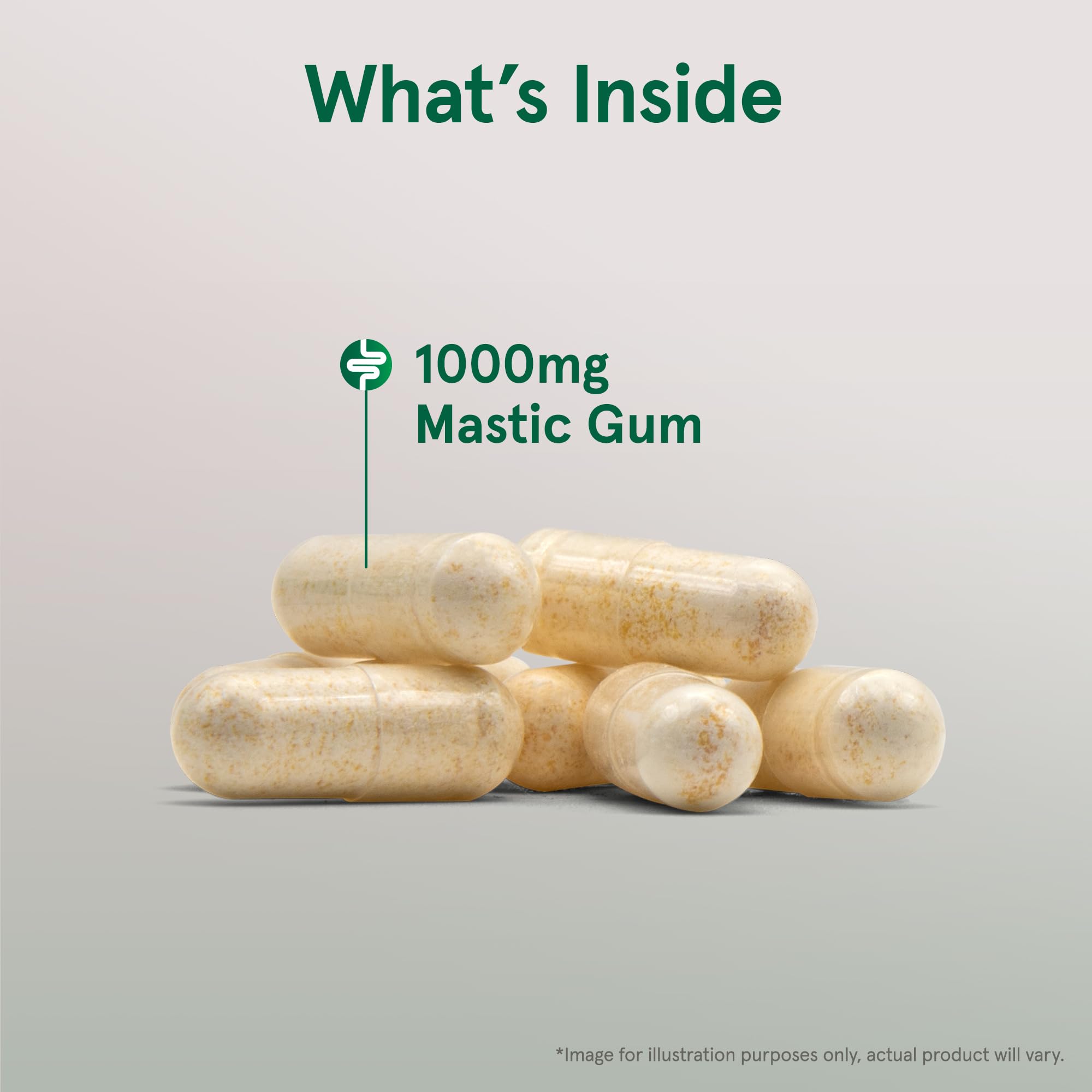 Jarrow Formulas Mastic Gum 1000 mg - 60 Veggie Caps - Mastic Gum Capsules Supporting Stomach and Duodenal Health - 30 Servings