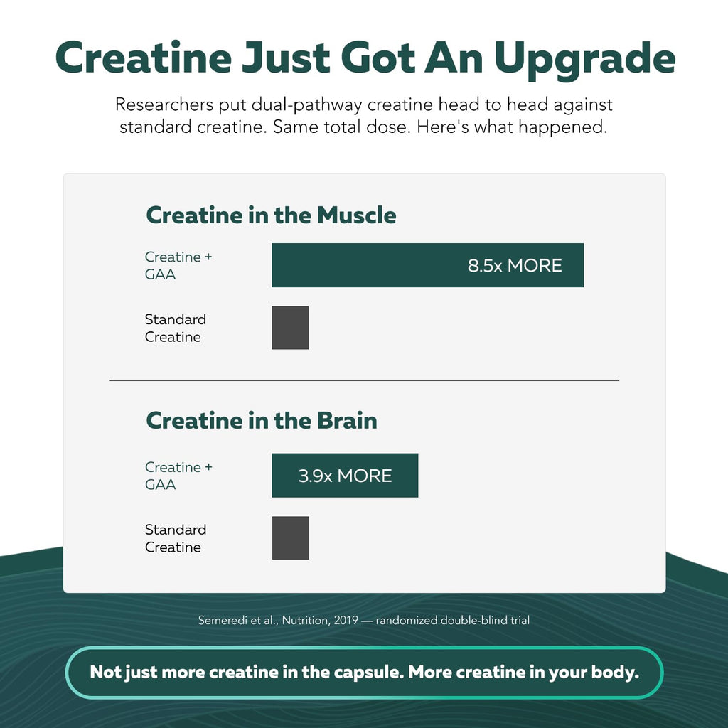 Creatine Reserve™ - Creatine Monohydrate Plus GAA for Mind, Muscle & Energy Support - Dual Pathway Delivery Creatine Supplement for Women & Men - Active B Vitamins & Taurine, Non-GMO (1 month supply)