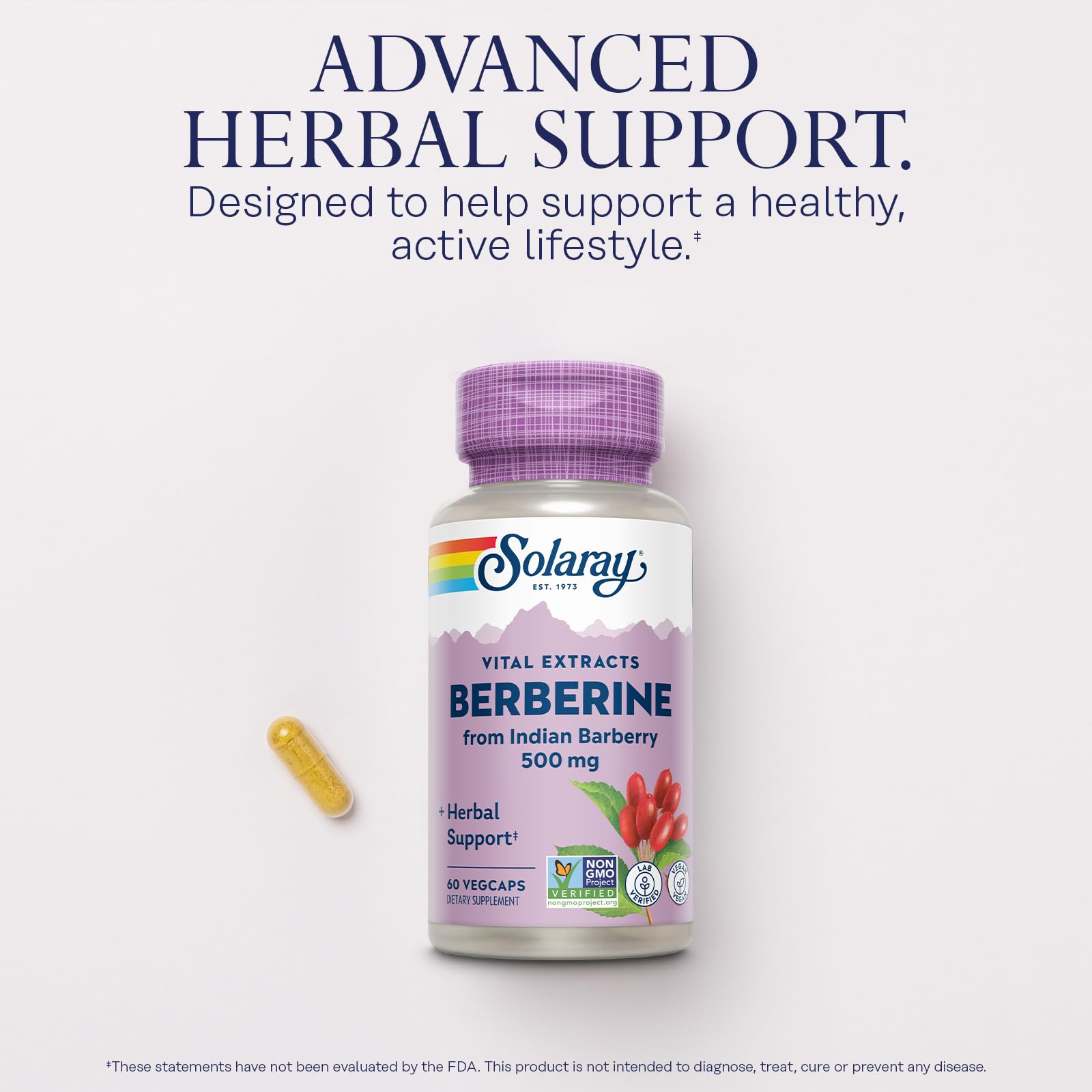 SOLARAY Berberine 500mg - Berberine Supplement for a Healthy, Active Lifestyle - with Berberine HCl from Indian Barberry - Vegan, Non-GMO, 60-Day Guarantee - 60 Servings, 60 VegCaps (60 CT)