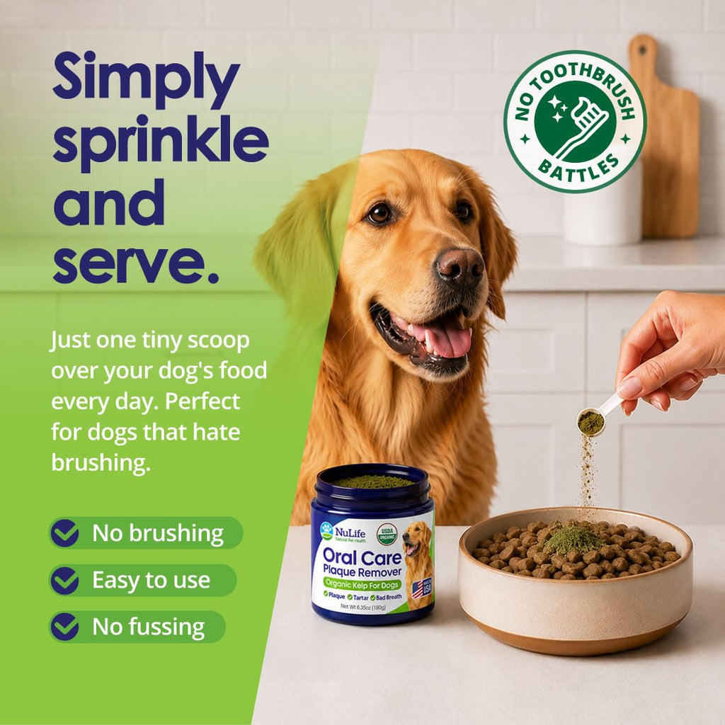 Dog Teeth Cleaning Powder, Dog Plaque and Tartar Remover, Bad Breath Treatment for Dogs with USDA Organic Sea Kelp Powder, Dog Dental Care Made Easy, for All Ages, 6oz