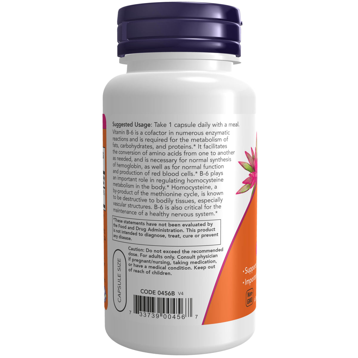 Now Foods B-6 100mg 100 Capsules