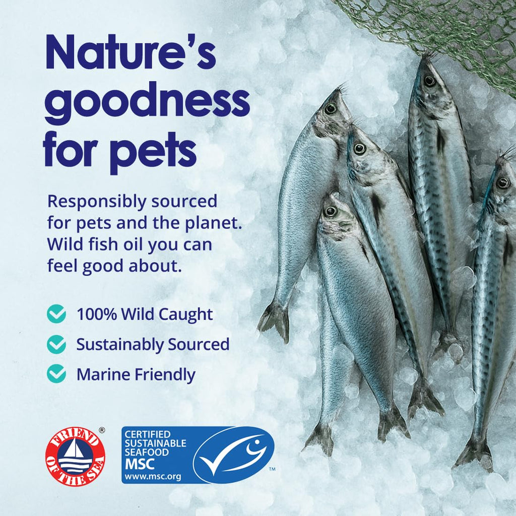 Pure Omega 3 Fish Oil for Dogs, Wild Caught from Iceland, Skin and Coat Supplement for Shedding, Dry Itchy Skin and Allergies, Rich in EPA + DHA with Omega 3, 6 & 9 Fatty Acids, 1000mg, 180 Capsules