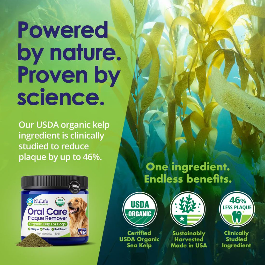 NuLife Natural Pet Health Dog Teeth Cleaning Powder, Dog Plaque and Tartar Remover, Bad Breath Treatment for Dogs with USDA Organic Sea Kelp Powder, Dog Dental Care Made Easy, for All Ages, 12 oz
