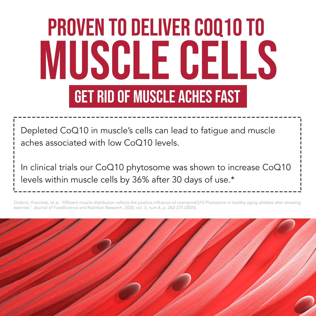 SoActive CoQ10® 250 mg: CoQ10 Phytosome with up to 9X Higher Absorption - Proven Cellular Delivery - Supports Cellular Energy Production (60 Capsules)