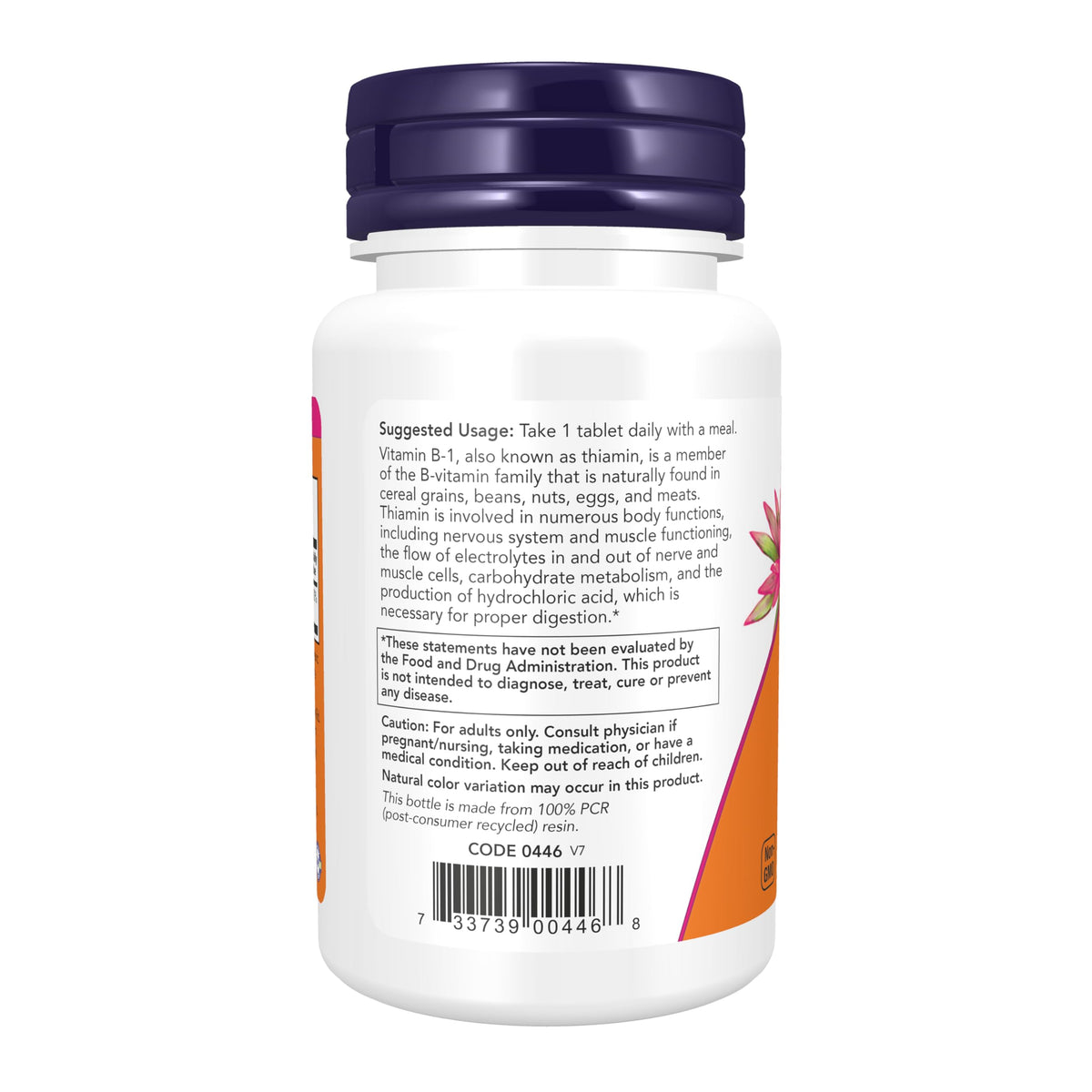 NOW Foods Supplements, Vitamin B-1 100 mg, 100 Tablets