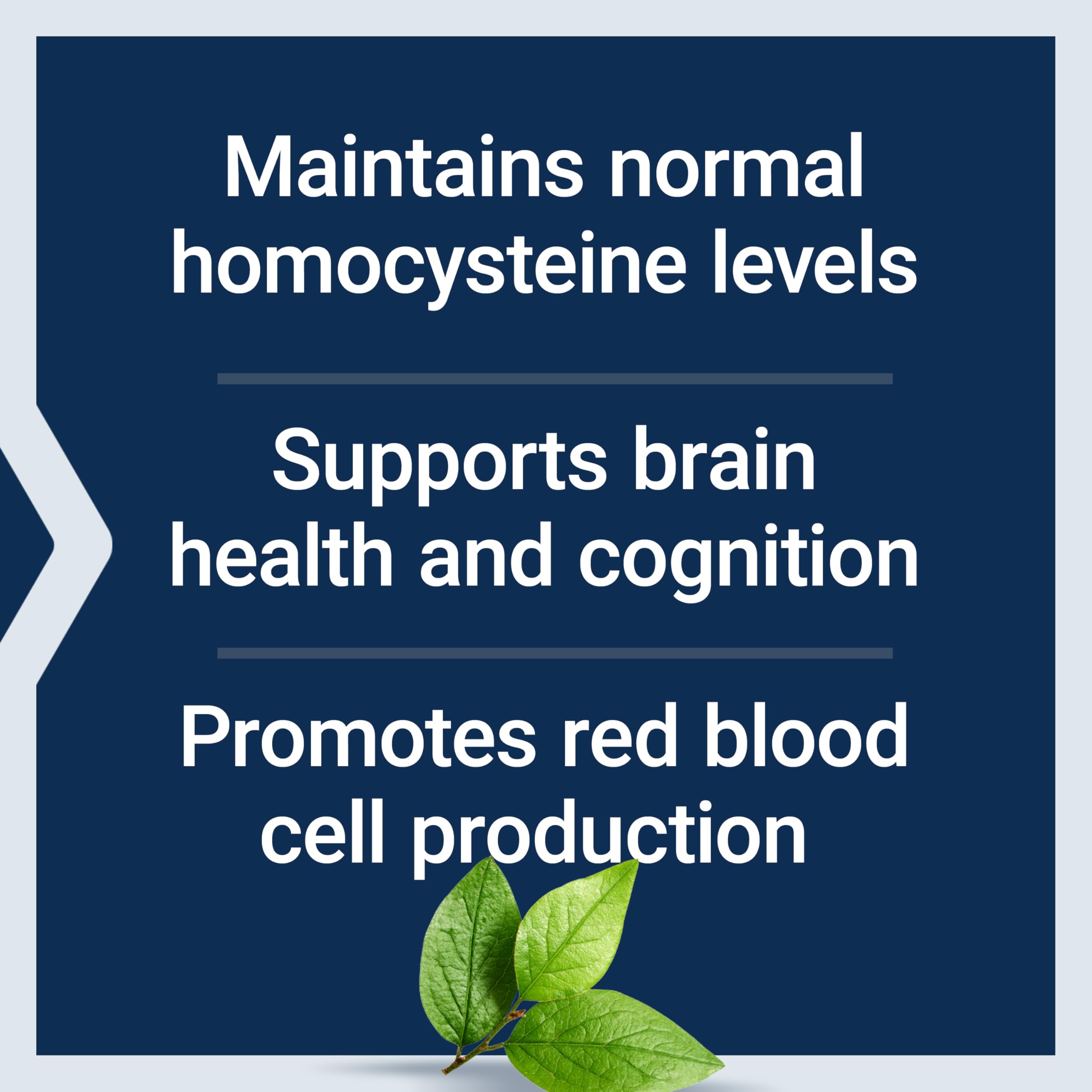 Life Extension Vitamin B12 Methylcobalamin, Nerve Health Supplement, Cognitive Support, Energy Vitamin, methylcobalamin B12, 5 mg, Quick-Dissolving, Gluten-Free, Non-GMO, Vegetarian, 60 lozenges