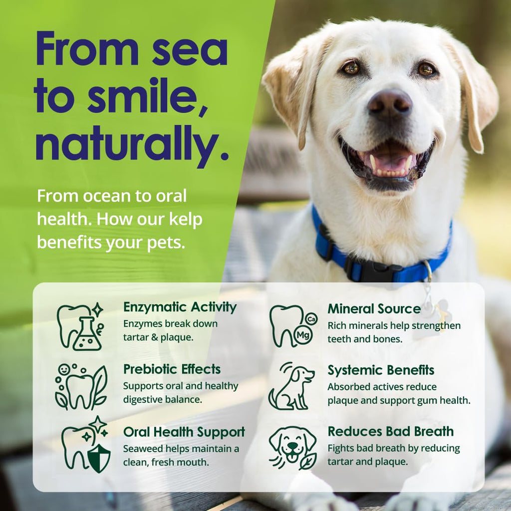 NuLife Natural Pet Health Dog Teeth Cleaning Powder, Dog Plaque and Tartar Remover, Bad Breath Treatment for Dogs with USDA Organic Sea Kelp Powder, Dog Dental Care Made Easy, for All Ages, 12 oz