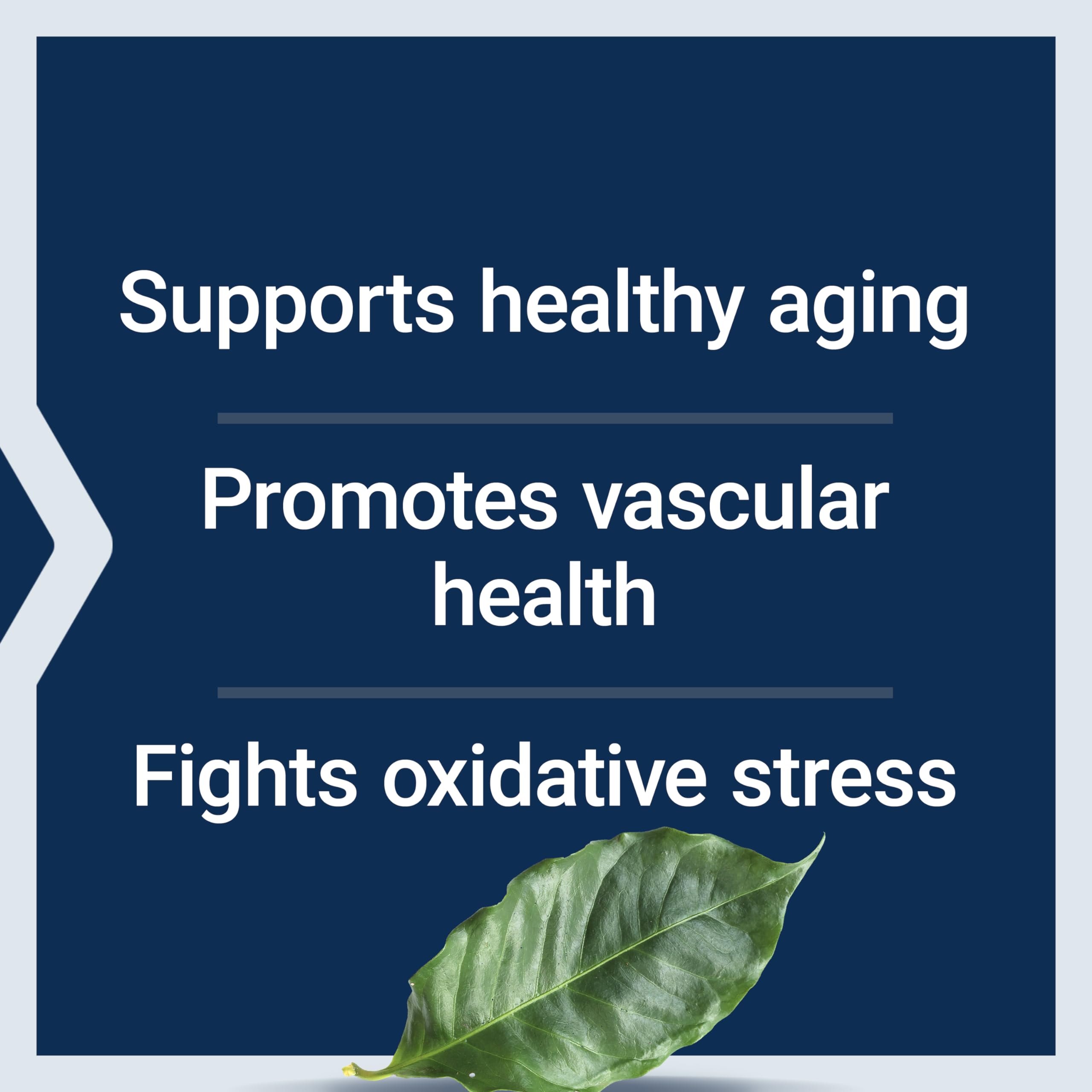 Life Extension Pycnogenol – French Maritime Pine Bark Extract – Scientifically Studied Healthy Aging & Vascular Health Supplement-– Non-GMO,Gluten-Free,Vegetarian-– 60 Capsules,(Pack of 2)