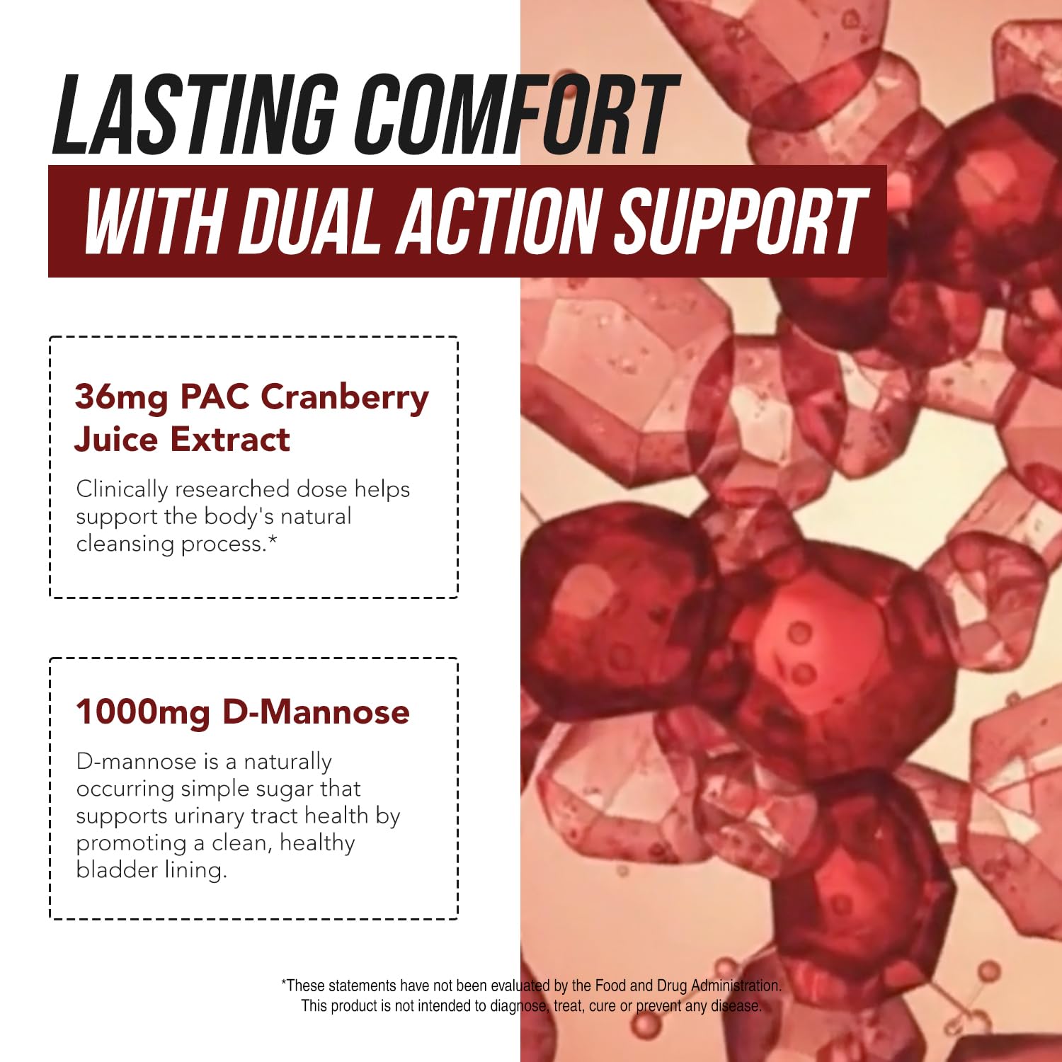 CranEaze®: Cranberry Pills for Women, 36mg PAC Supplement with D Mannose