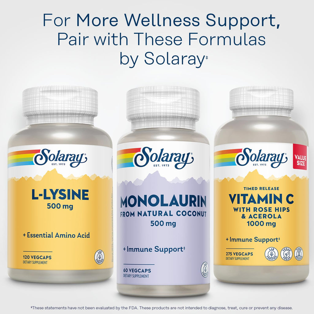 Solaray L-Lysine 500mg, Health Support Pills, 120 Vegan Capsules
