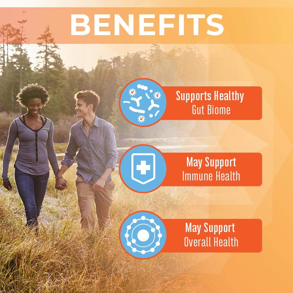 MARYRUTH'S Probiotic Turmeric Curcumin + Extra GI Support, Vegan, 60 Count