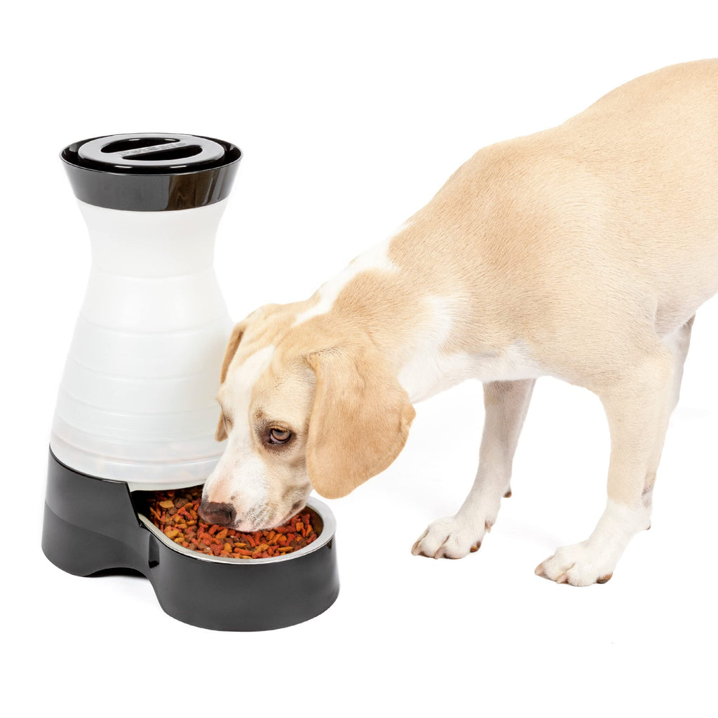 PetSafe Healthy Pet Food Station, 4 lb Gravity Feeder, Cats & Dogs, Medium