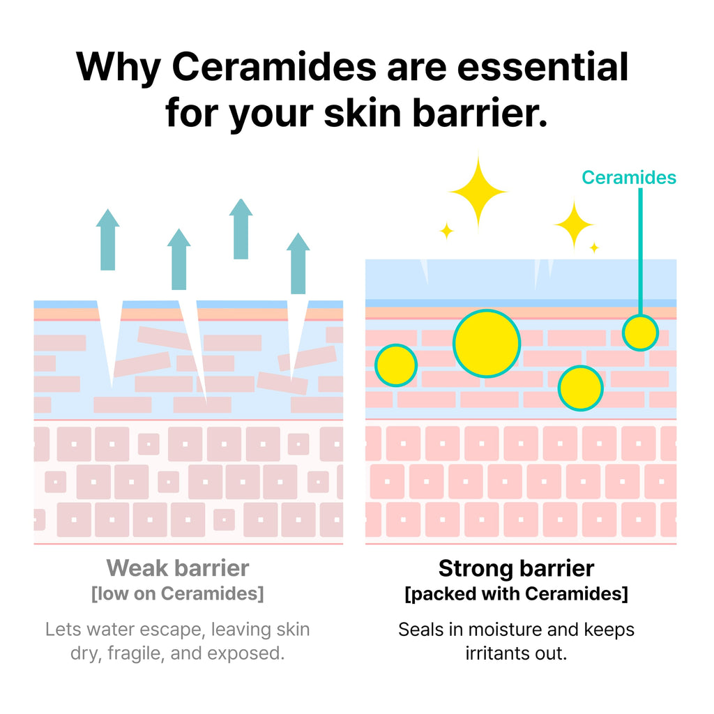 Dr.Jart+ Ceramidin Skin Barrier Korean Face Cream Moisturizer with Ceramides and Panthenol | Korean Skin Care, 1.69 Fl Oz