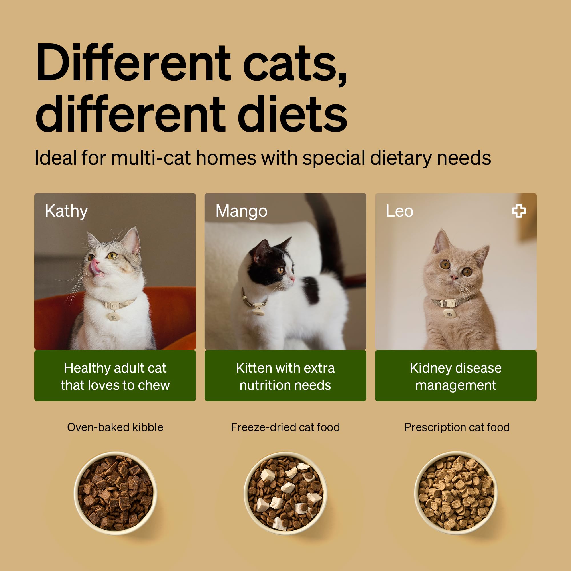 PETLIBRO RFID Automatic Cat Feeder, Collar Sensor-Activated Personalized Meals, Cats Recognition & Diet Tracking for Multi-Pet Homes and Different Diets, 5G&2.4G Wi-Fi Programmable Cat Food Dispenser