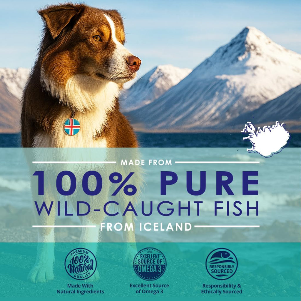 Wild Omega 3 Fish Oil for Dogs - Dog Fish Oil Liquid to Reduce Shedding & Itching - Supports Joints, Brain, and Heart Health - Fish Oil for Dogs Skin and Coat Supplement - Rich in EPA + DHA - 12oz