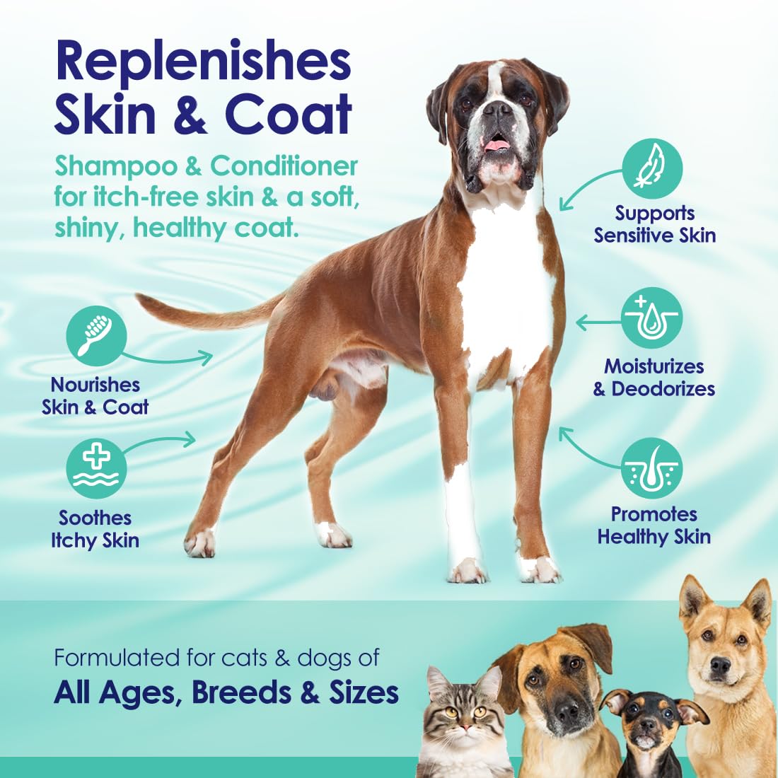 2-in-1 Dog Shampoo and Conditioner with Soothing Aloe Vera & Chamomile, Sensitive Skin, Fragrance-Free, Hypoallergenic Formula Provides Itchy Skin Relief from Dry Skin & Allergies - 16oz