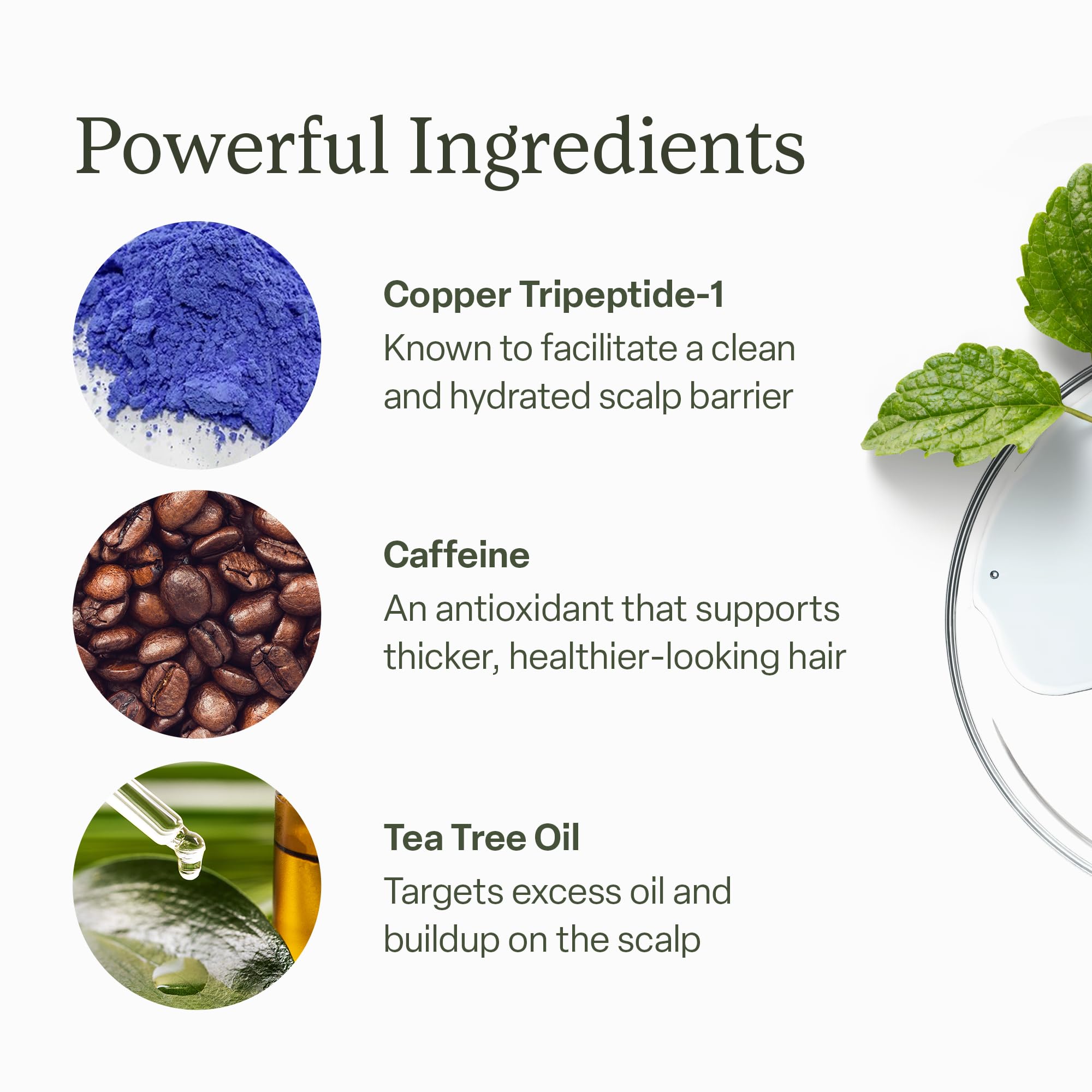 Divi Scalp Serum | To Promote Fuller-Looking Hair with Peptides | 30ml