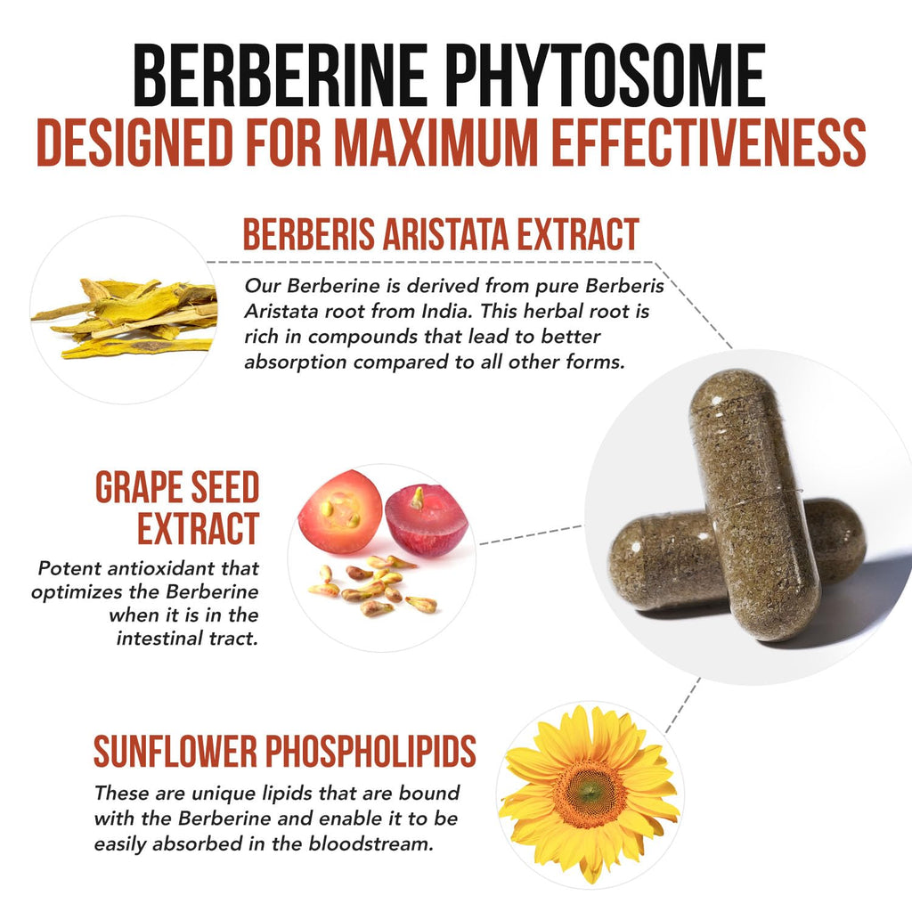 SoActive Berberine 550mg: 9.6X Higher Absorption, Clinically Studied, Optimized Phytosome | Supports Metabolism & AMPK Activation | Non-GMO, Soy-Free | Clinically Validated Dose | 60 Servings