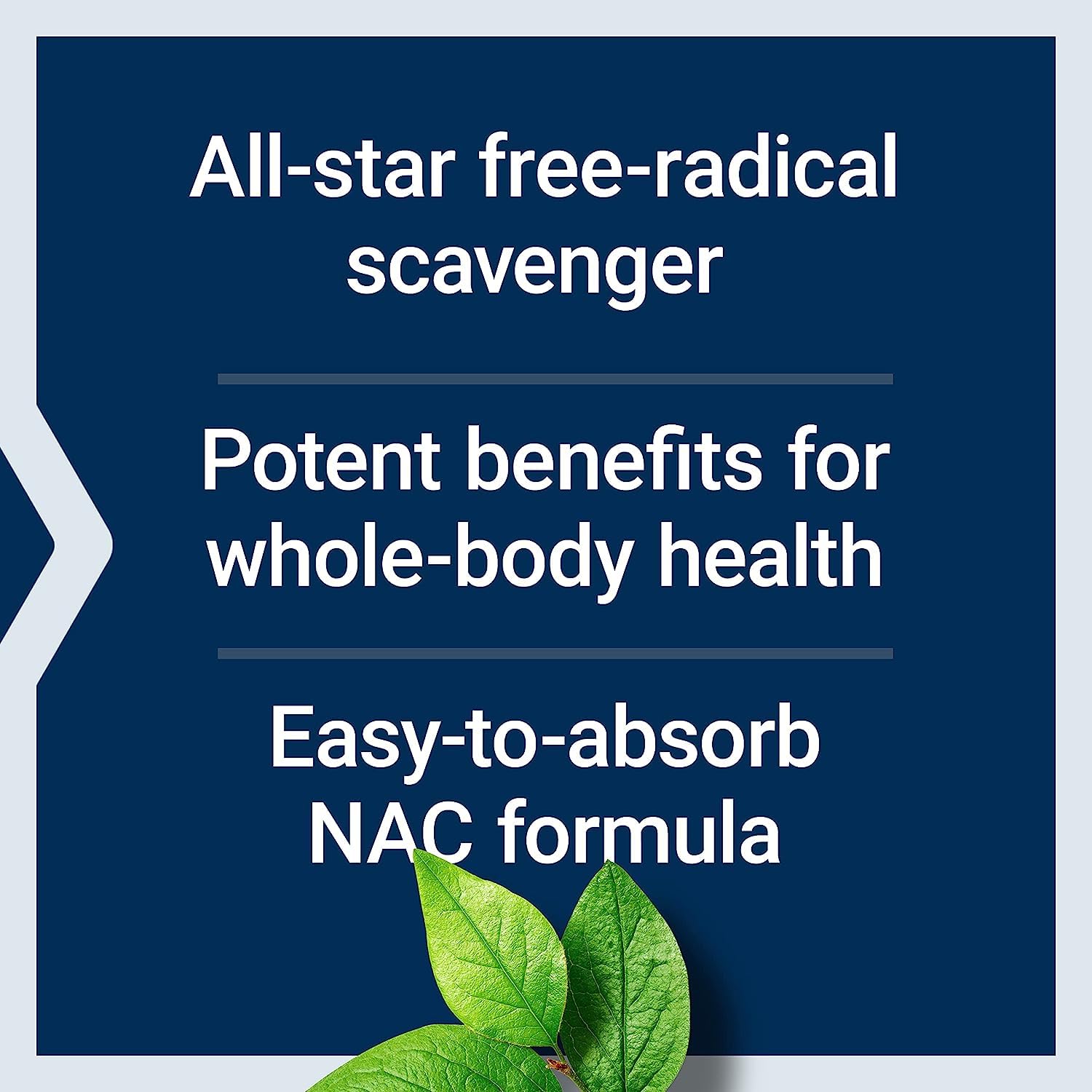 Life Extension N-Acetyl-L-Cysteine (NAC), Immune, Respiratory & DHEA 25 mg – Supplement for Hormone Balance, Immune Support, Sexual Health, Bone & Cardiovascular Health