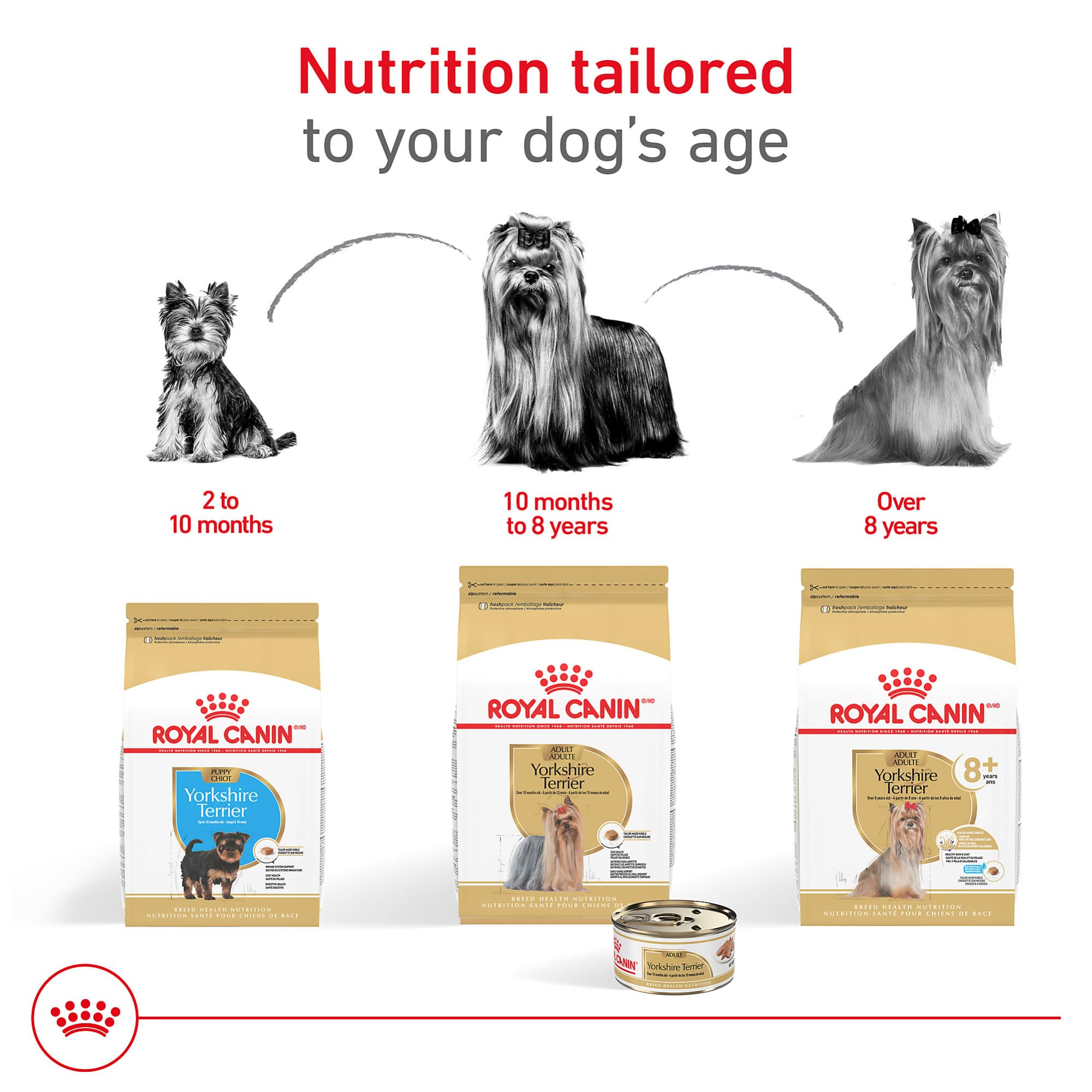 Royal Canin Yorkshire Terrier Adult Wet Dog Food, 3 oz, 6-Pack