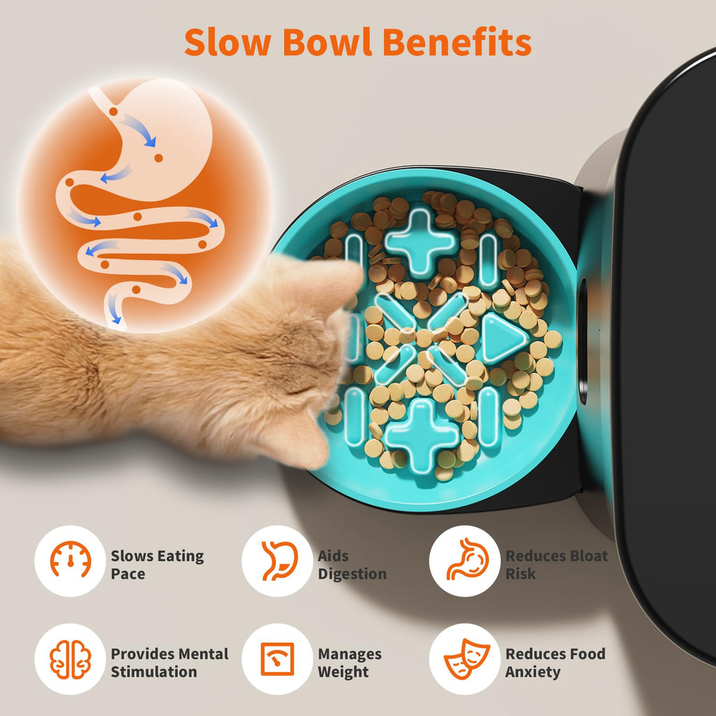 HoneyGuaridan Automatic Cat Feeder for 2 Cats,2.4G/5G WiFi APP Control