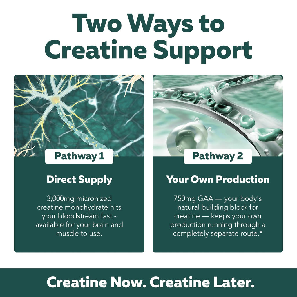 Creatine Reserve™ - Creatine Monohydrate Plus GAA for Mind, Muscle & Energy Support - Dual Pathway Delivery Creatine Supplement for Women & Men - Active B Vitamins & Taurine, Non-GMO (1 month supply)