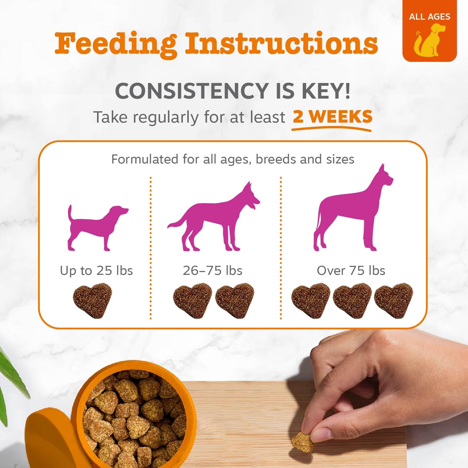 Zesty Paws Salmon Oil for Dogs Skin and Coat, Omega 3 Fish Oil Chews, Dog Allergy Relief Chews, Itch Relief Supplement, 90 Count, Salmon Flavor