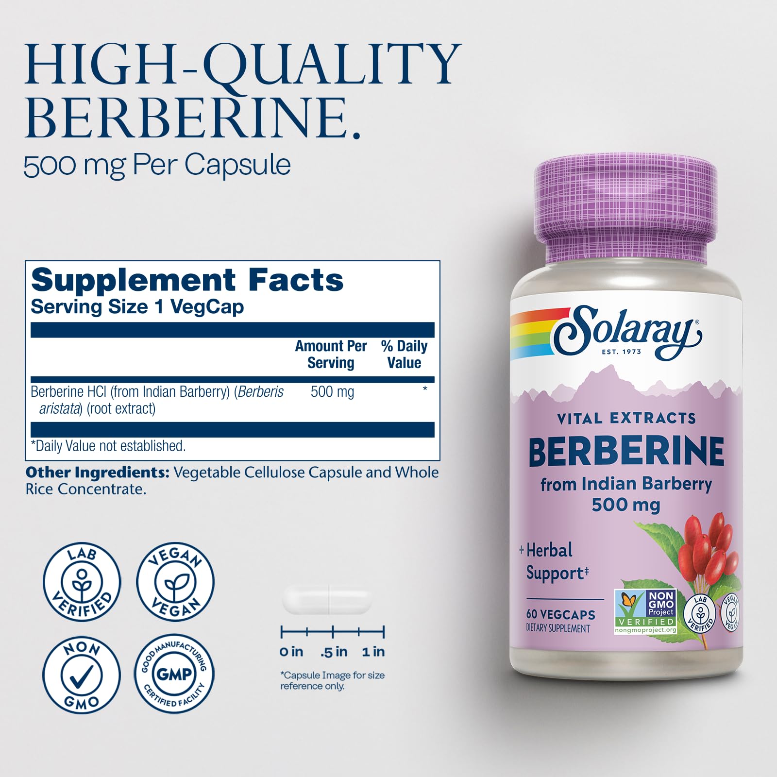 SOLARAY Berberine 500mg - Berberine Supplement for a Healthy, Active Lifestyle - with Berberine HCl from Indian Barberry - Vegan, Non-GMO, 60-Day Guarantee - 60 Servings, 60 VegCaps (60 CT)