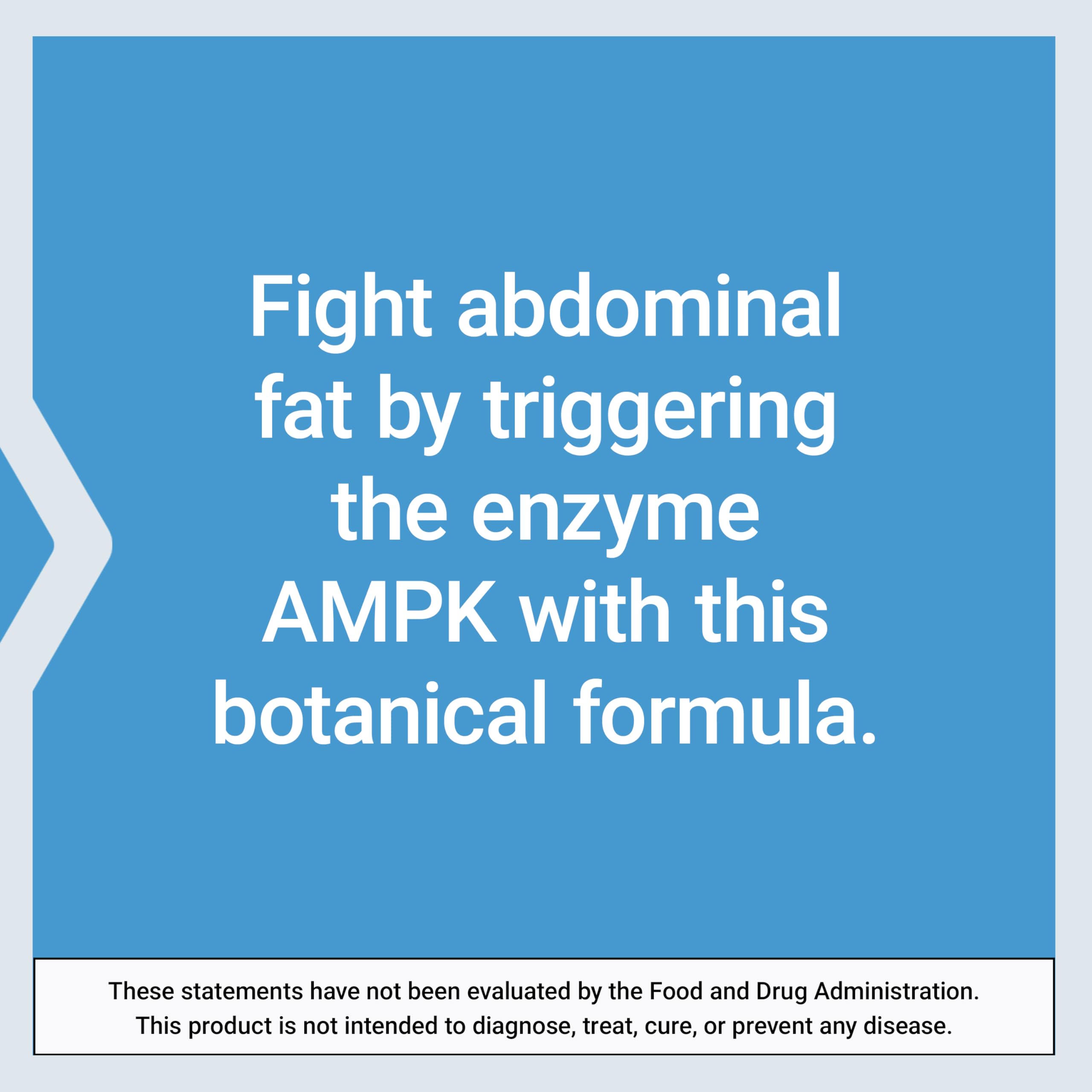 Life Extension AMPK Metabolic Activator*, Hesperidin, G. pentaphyllum, Fight unwanted Belly Fat, Target Overall Fat, Gluten-Free, Vegetarian, 1-Daily, Non-GMO, 30 Tablets (Pack of 2)