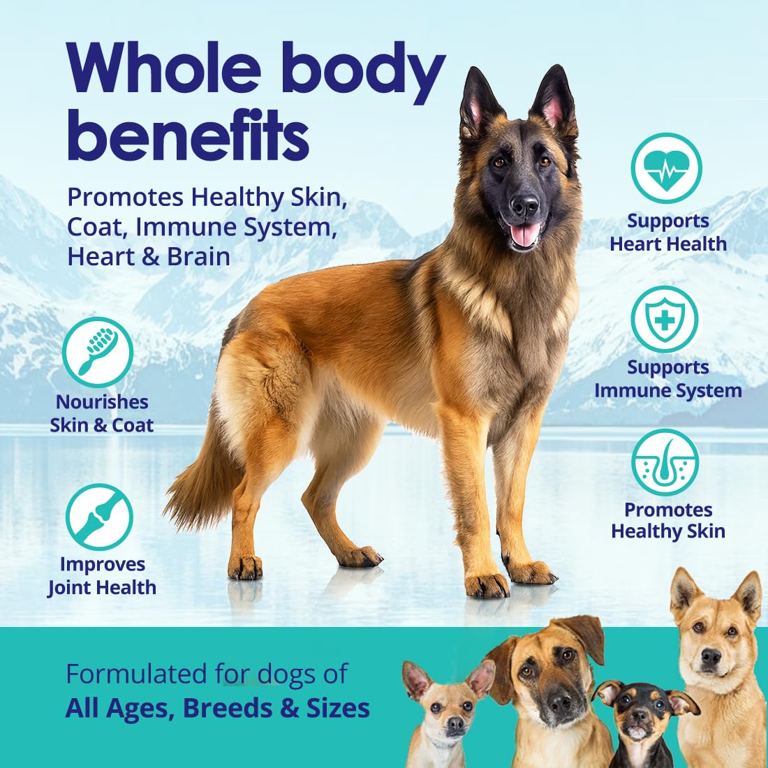 Pure Wild Alaskan Salmon Oil for Dogs - Omega 3 Formula - Dog Fish Oil Liquid - Skin and Coat Supplement for Shedding - Dry Itchy Skin and Allergies - EPA + DHA Fatty Acids - 32 oz Pump Bottle