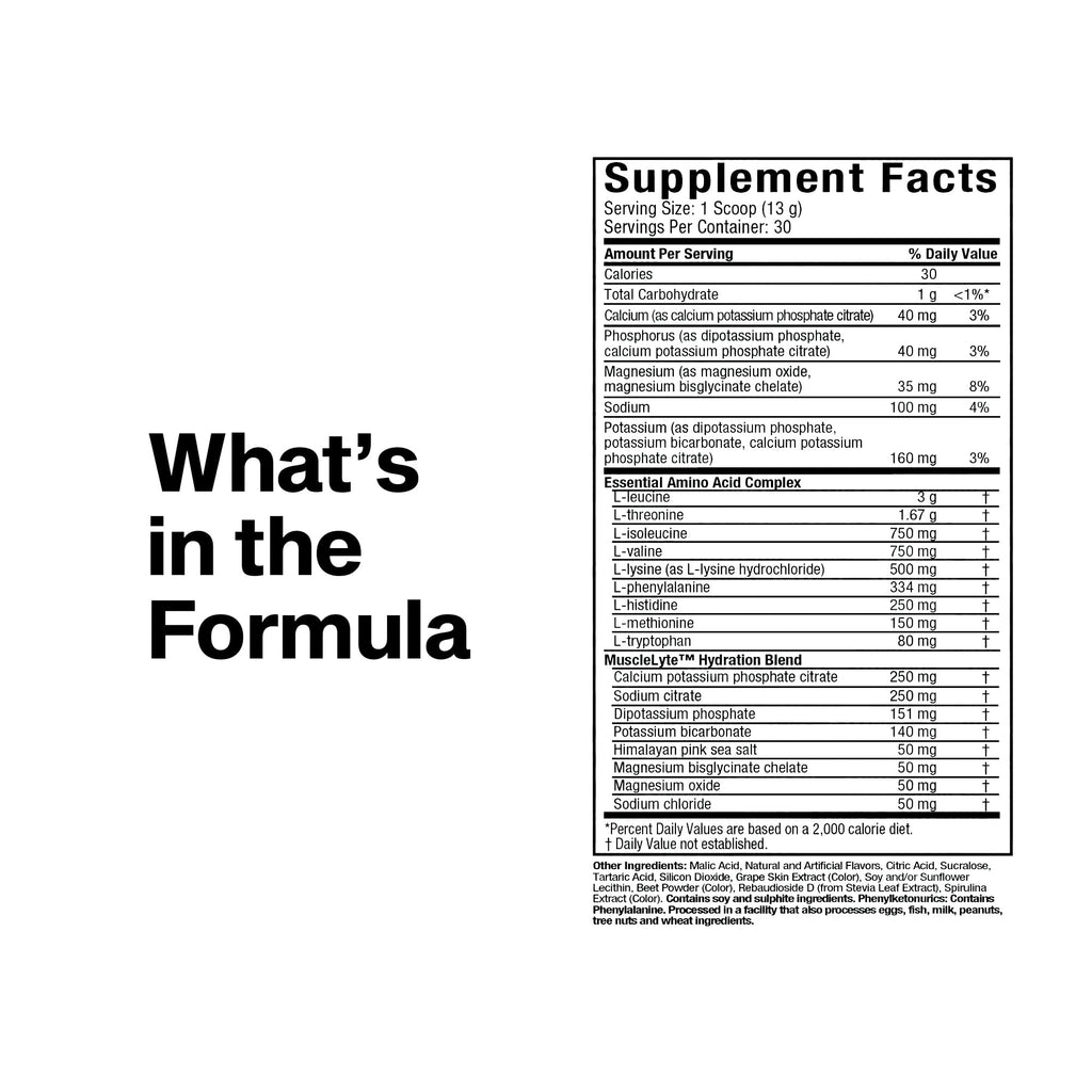 MuscleTech | Platinum Essential Amino Acids Supplement with Electrolytes | Pre-Workout Powder for Energy, Muscle Growth & Strength Builder for Men & Women | 387 grams | 30 Servings