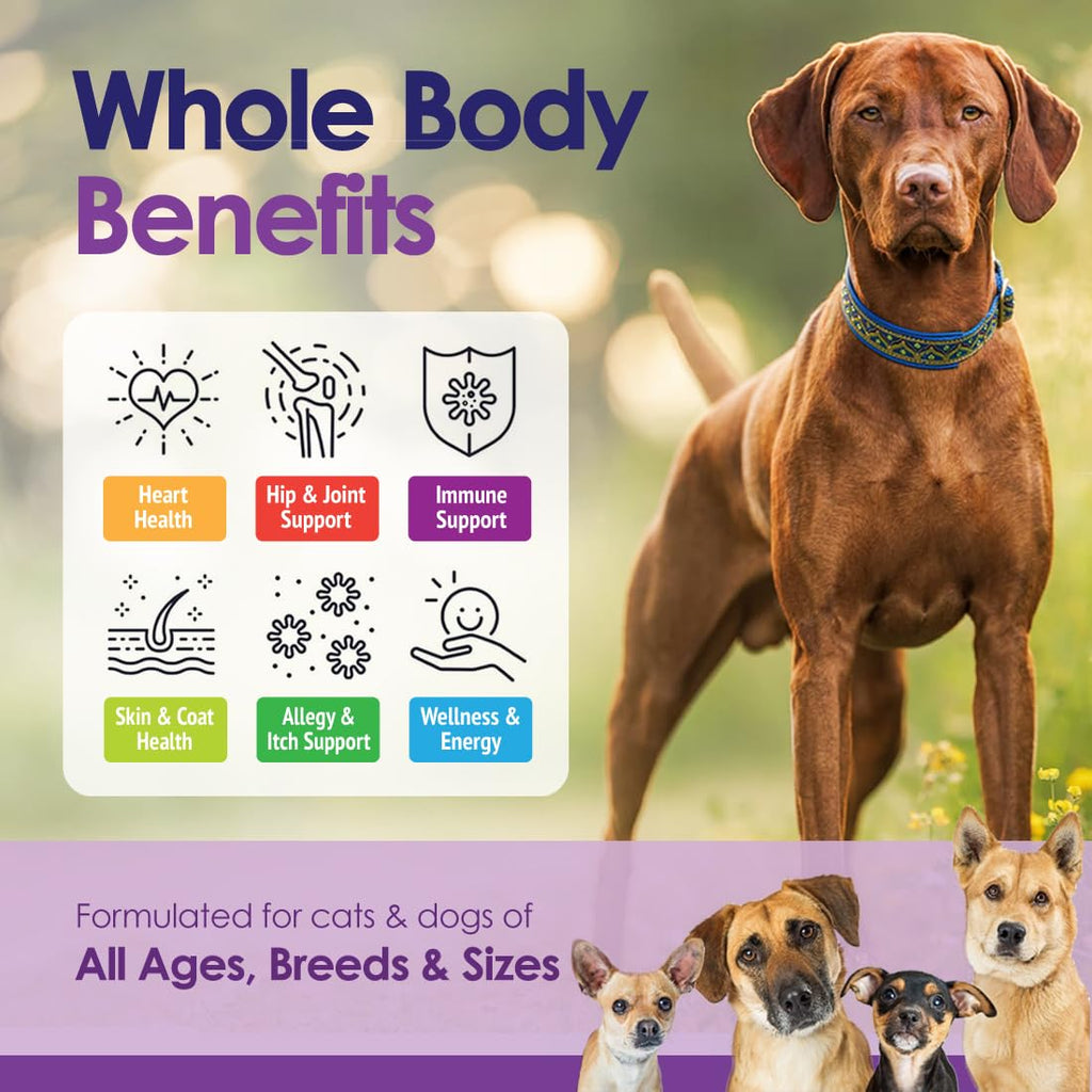 Dog Multivitamin Chewable - 22 in 1 Dog Vitamins and Supplements with Green Lipped Mussel & Omega 3 for Joints, Skin & Coat, Immune System - Senior & Puppy Multivitamin for Dogs - 60 Beef Chews