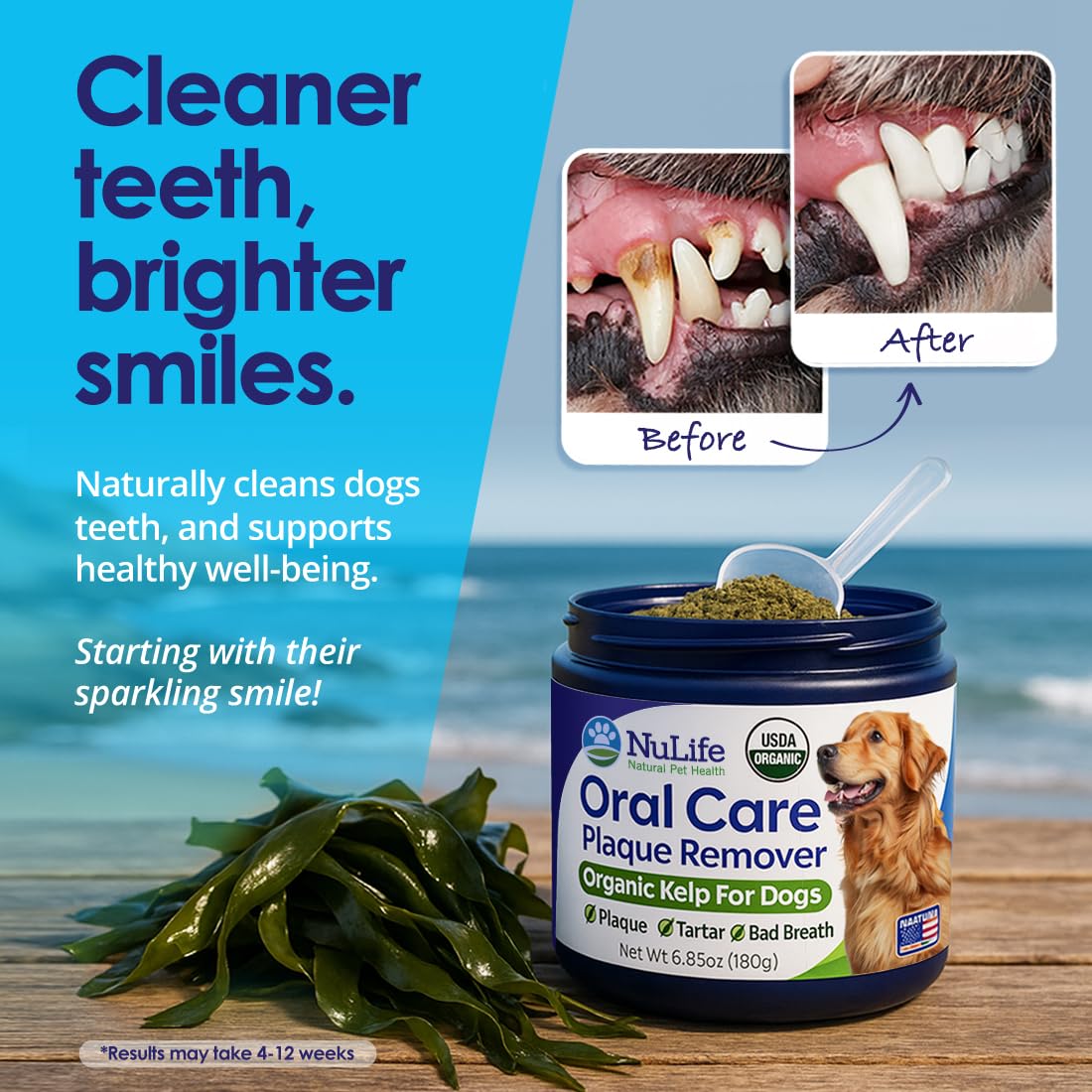 NuLife Natural Pet Health Dog Teeth Cleaning Powder, Dog Plaque and Tartar Remover, Bad Breath Treatment for Dogs with USDA Organic Sea Kelp Powder, Dog Dental Care Made Easy, for All Ages, 12 oz