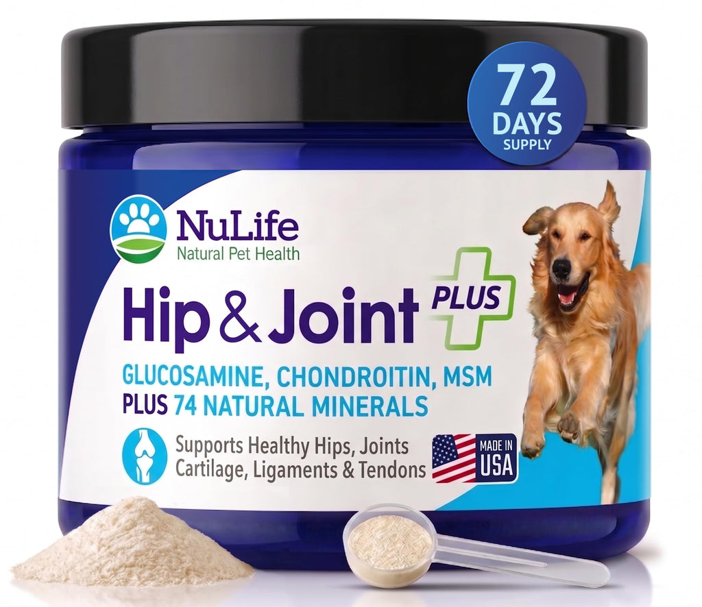 Advanced Glucosamine Powder for Dogs for Arthritis Pain Relief & Hip Dysplasia, Supports Joint Health & Reduces Inflammation with Glucosamine, Chondroitin, MSM & Coral Calcium, 6oz Powder