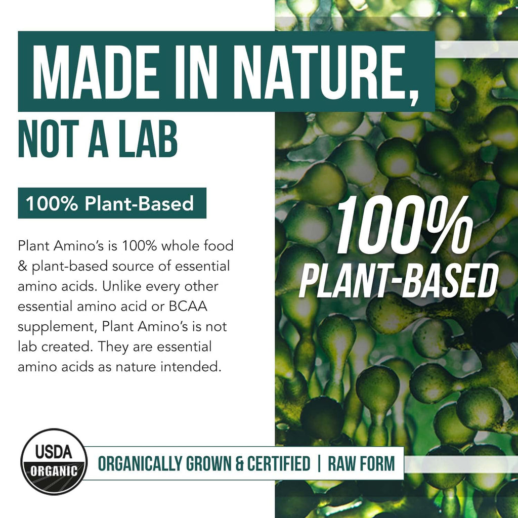 Plant Aminos Organic Essential Amino Acid Supplement (EAAs) & BCAA - 100% Plant-Based Raw, Vegan - All 9 Essential Amino Acids with 18 Total Amino Acids (360 Tablets)