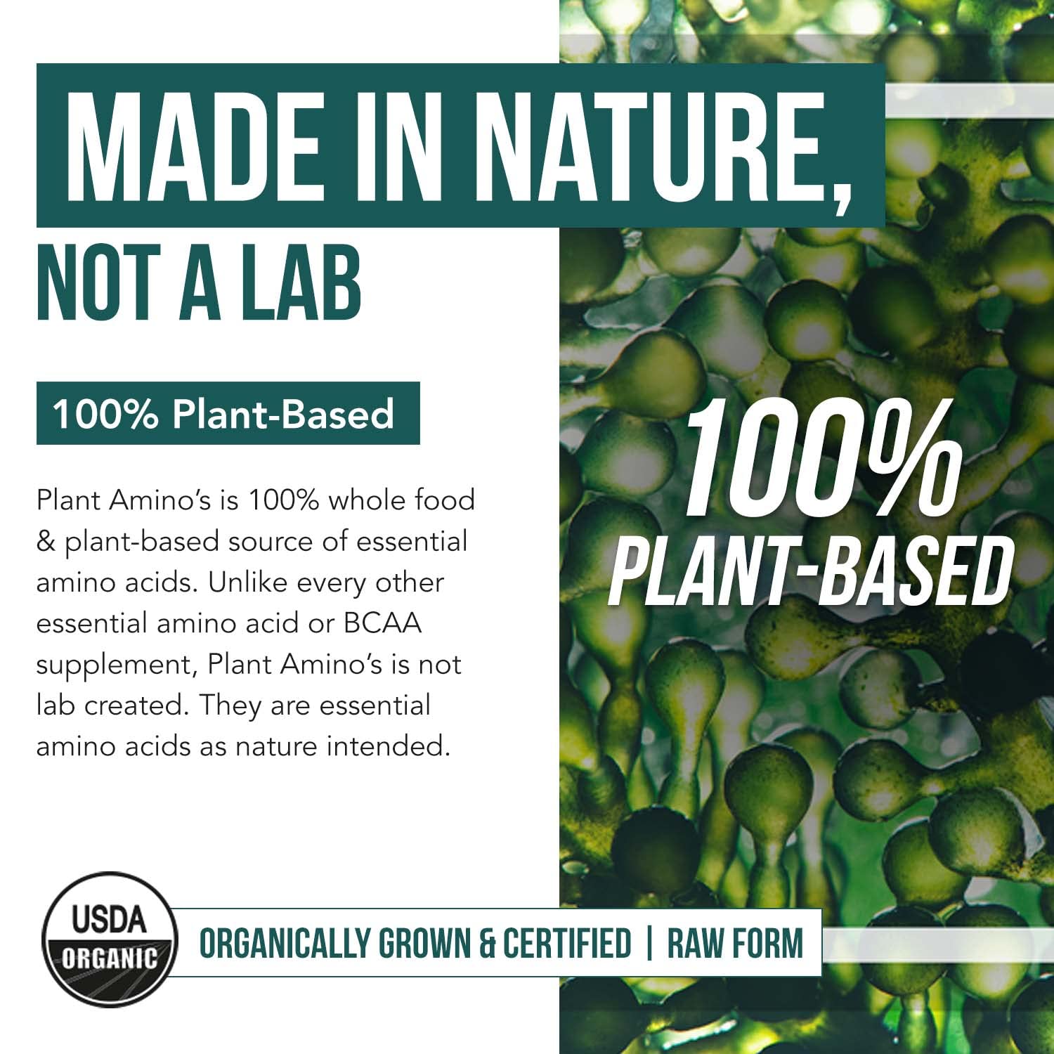Plant Aminos Organic Essential Amino Acid Supplement (EAAs) & BCAA - 100% Plant-Based Raw, Vegan - All 9 Essential Amino Acids with 18 Total Amino Acids (360 Tablets)