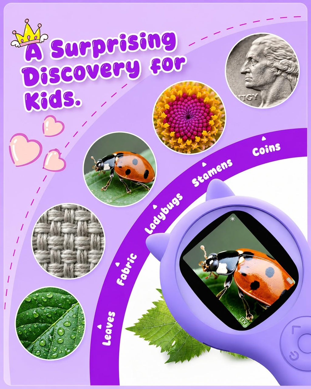 Ashfly Kids Microscope, 500X Digital Magnifying Glass, STEM Toy, Purple