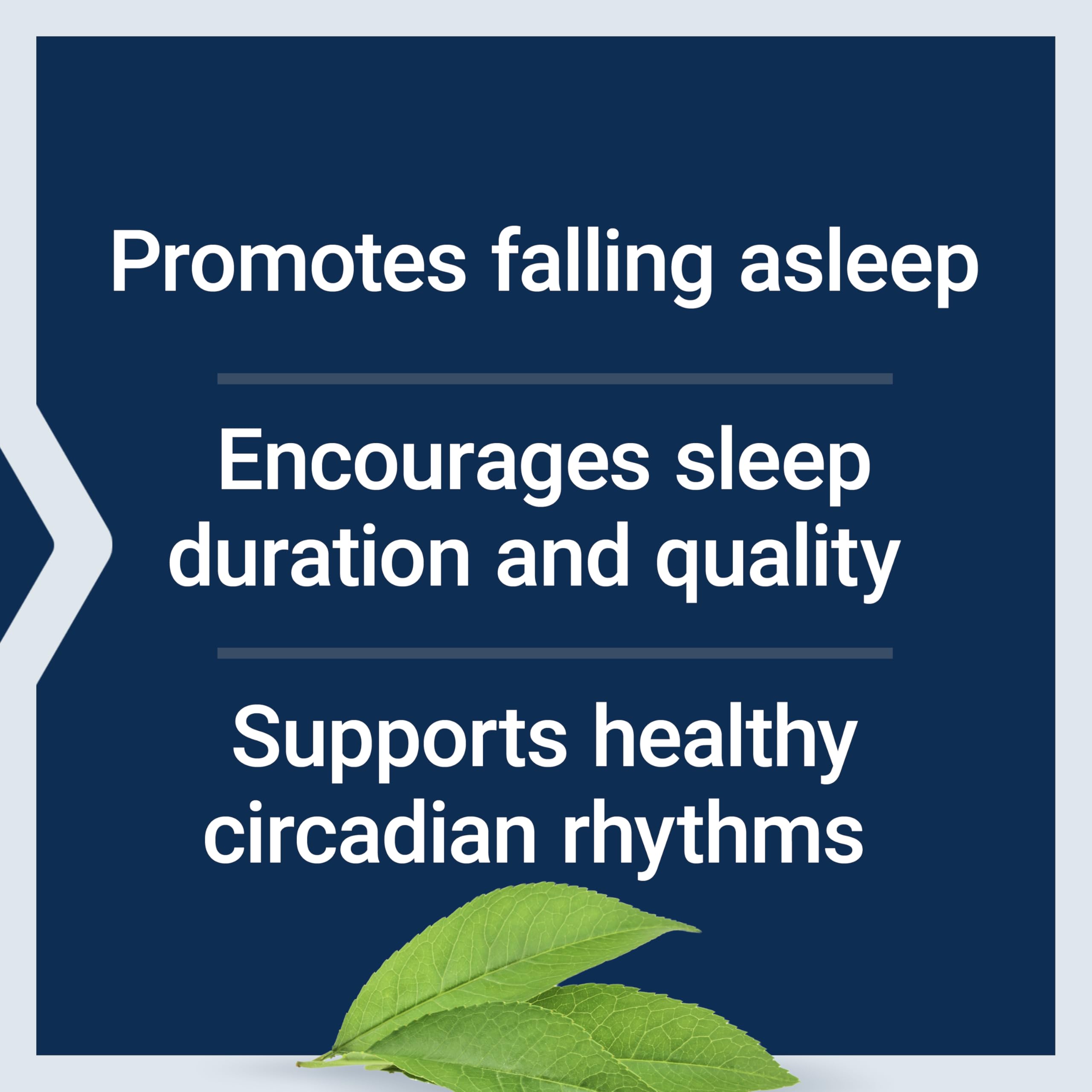 Life Extension Melatonin 6 Hour Timed Release, 750 mcg, Extended-Release Formula for Gentle Sleep Support, Healthy circadian Rhythms, Cellular Defense, Gluten-Free, Non-GMO, Vegetarian, 60 Tablets